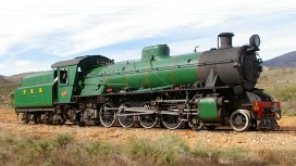 Photographed at Woolshed Flat, South Australia 